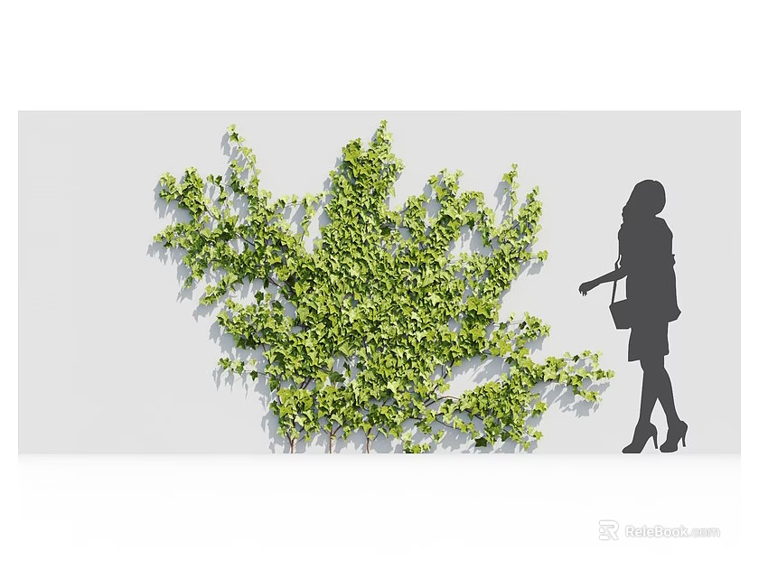 Lush Green Arbor Covering Wall With Silhouette Woman Standing Beside 3d model 