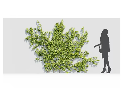 Lush Green Arbor Covering Wall With Silhouette Woman Standing Beside 3d model