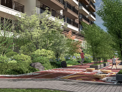 Residential Landscape Plant Combination with Lush Trees Shrubs and Greenery Along Pathway 3d model