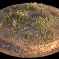 Circular Garden Bed Design With Stone Wall And Mixed Yellow Flowers Green Grasses