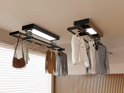 Ceiling Mounted Clothes Rack with LED Light Hanging Clothes Jackets and Handbag in Modern Room 3d model