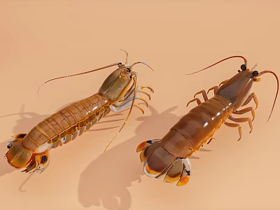 Aquatic Animals Two Fresh Lobsters With Long Antennas And Claws On Sandy Surface 3d model