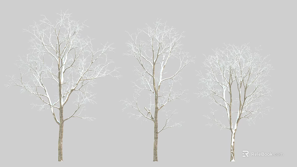 Scenic Leafless Arbor Trees With White Covered Branches And Brown Trunks 3d model 