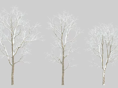 Scenic Leafless Arbor Trees With White Covered Branches And Brown Trunks 3d model