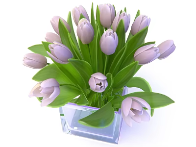 Purple Tulips Arrangement in Transparent Square Vase with Fresh Green Leaves 3d model