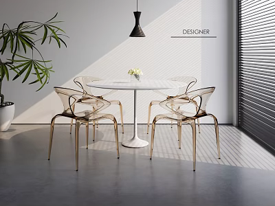 Transparent Leisure Chairs in Modern Indoor Setting With Round Table Green Plant And Bright Light 3d model