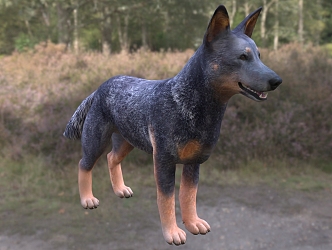 Modern Australian Cattle Dog Animal Creatures 3d model