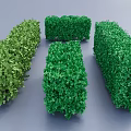Neatly Trimmed Green Shrubs With Various Shapes Against Gray Background