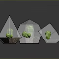 Scenic Green Plant Landscapes Inside Transparent Geometric Glass Structures On Reflective Surface
