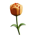 Vibrant Orange Tulip Plant with Green Stem and Fresh Healthy Leaves