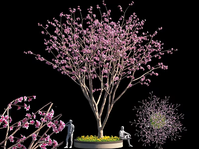 Artistic Bonsai Tree With Pink Blossoms For Home Decorative 3d model