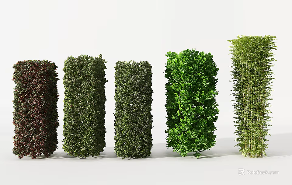 Different Columnar Garden Shrubs in Various Colors Lined Up on White Background 3d model 