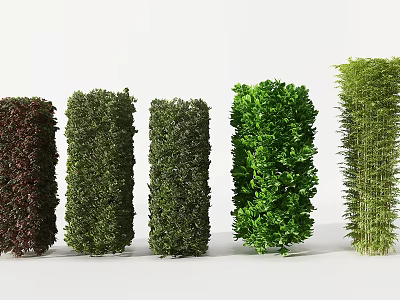 Different Columnar Garden Shrubs in Various Colors Lined Up on White Background 3d model