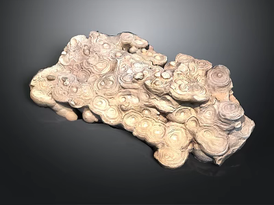 Stone Wood Decorative Sculpture With Natural Texture And Irregular Organic Form 3d model