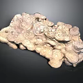 Stone Rock Stone Appreciation Stone Strange Stone Ore Realistic 3d model