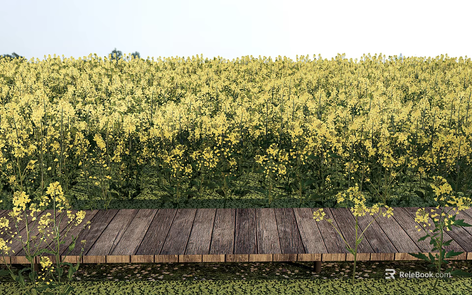 Vibrant Yellow Flower Field With Wooden Plank Path in Serene Natural Landscape 3d model 