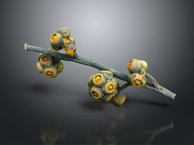 Plant Branch Featuring Round Yellow and Brown Fruits on Dark Background with Reflection 3d model