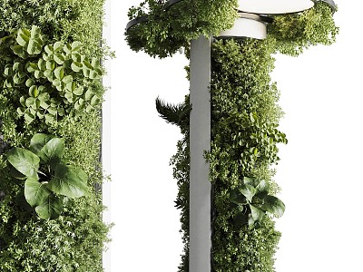 Modern Plant Wall 3d model