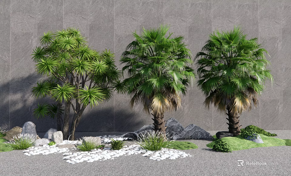 Lush Palm Trees in Outdoor Garden with Stones Small Plants and White Pebbles 3d model 