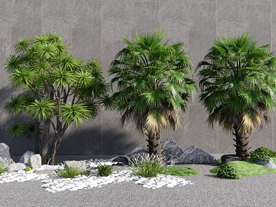 Lush Palm Trees in Outdoor Garden with Stones Small Plants and White Pebbles 3d model