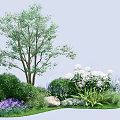 Shrubs in Garden Landscape with Tree White Purple Flowers Stone and Grass