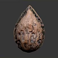 Natural Walnut Food With Brown Textured Surface And Organic Shape Details