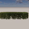 Well Trimmed Garden Shrubs In Geometric Shapes With Lush Green Foliage