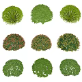 Modern shrubs shrub ball Euonymus microfolium hedgerow Ligustrum microfolium camellia ball Ligustrum rhododendron shrub 3d model
