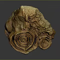Wooden Stone With Natural Spiral Texture And Yellow Organic Decorative Shape