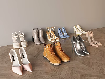 Various Women's Shoes High Heels Ankle Boots And Flats In Beige Silver Brown On Wooden Floor 3d model