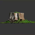 Wooden Tree Stump Surrounded By Circular Green Grass With Small Plants Growing