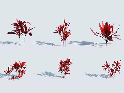 Red Leaf Shrubs with Vibrant Foliage in Various Growth Stages and Natural Shapes 3d model