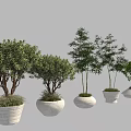 White Tree Planters with Various Green Trees in Modern Stylish Design 3d model