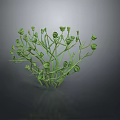 Green Plant with Slender Stems and Small Round Buds Clustered in Dark Background with Reflection