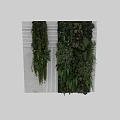 Indoor Living Plant Wall With Diverse Foliage And Lush Green Hanging Plants