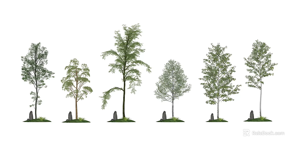 Varied Arbor Trees Displaying Different Trunks Foliage Grass and Stones 3d model