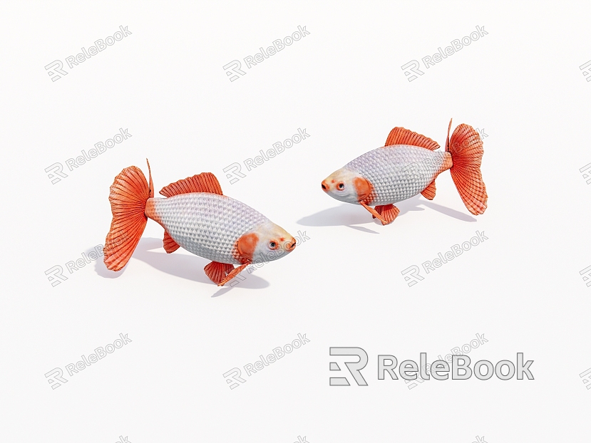 Aquatic animal goldfish model