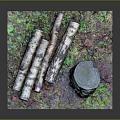 Rustic Wood Display Scene With Logs Carved Tree Stump And Mossy Grass Decorations