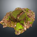 Natural Wooden Stump With Green Moss And Fallen Leaves In Forest Ground