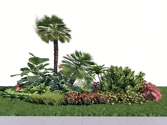 Plants flowers and plants flowers flower border flowers and plants group when flowers 3d model