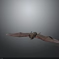 Detailed Bat With Spread Wings In Natural Pose On Gray Background 3d model