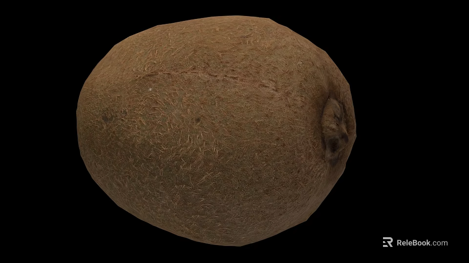 Fresh Brown Potato Vegetable With Rough Surface And Natural Skin Texture 3d model