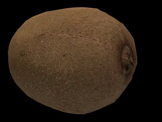 Modern Kiwi 3d model