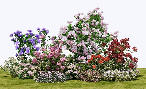 Modern shrubs flowers flower glasses flower bed garden landscape plant combination 3d model