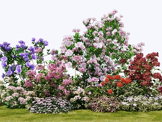 Modern shrubs flowers flower glasses flower bed garden landscape plant combination 3d model