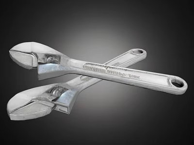 High Quality Professional Adjustable Wrenches For Hardware Tools With Durable Metal Construction 3d model