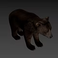 Realistic Brown Bear Game Movie Character With Furry Fur And Standing Stance