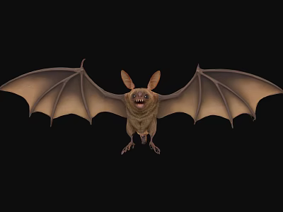 Flying Animal Bat With Large Ears And Spread Wings On Dark Background 3d model