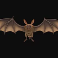 Flying Animal Bat With Large Ears And Spread Wings On Dark Background 3d model
