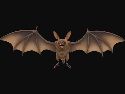 Flying Animal Bat With Large Ears And Spread Wings On Dark Background 3d model